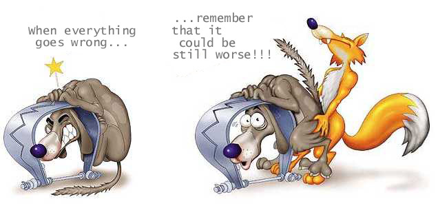Funny picture of the day